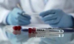 voz tedros gebrejesus soobshhaet o riske eboly v mire-ul-rks-ru-0