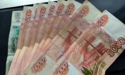 gosduma predlagaet shtrafy za obman v zarplatnyh vakansiyah na gosuslugah-ul-rks-ru-0