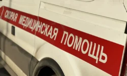 Выставка «Ненаивное наивное» открылась в Царицыно для всех гостей vystavka nenaivnoe naivnoe otkrylas v czariczyno dlya vseh gostej-ul-rks-ru-0