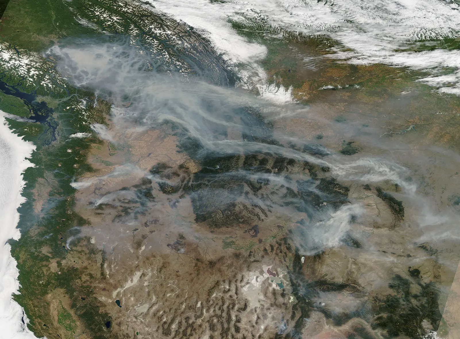 Спутник Terra и прибор MODIS зафиксировали дым от пожаров в США и Канаде-0