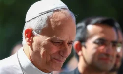 lev  uspeshno prooperirovan po povodu obrazovaniya v lyogkom-ul-rks-ru-0