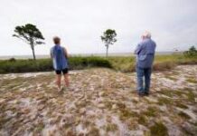 Ураган «Хелен» оставил миллионы американцев без электричества Tropical Weather.