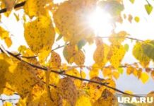 Клипарт 7. Нижневартовск