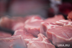 Продукты питания. Пермь, продукты, свинина, витрины, стелажи, говядина, мясная продукция, магазин, мясо, свинана