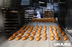 Пермская пекарня стала собственностью бывшего министра