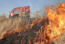 Режим чрезвычайной ситуации введен в Ростовской области из-за лесных пожаров de061c23-1390-44d5-b0e9-36ea81b6d788-674dfd8c