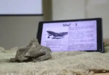 Масштабный слет поисковых и патриотических отрядов состоится на Урале 120fa574-560f-4fb6-be1d-95935cbbb66e-678828bf