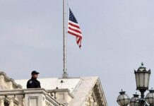 Военнослужащие КНДР: новые заявления о присутствии в Курском регионе 3931eb96-64f3-4c4e-b7bc-7c2597dcfbe9-678702a7