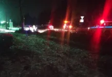 Трагическое происшествие на уральской трассе привело к гибели пассажира 3a68aa6f-7586-46d5-9223-7d07437ead7f-67812214