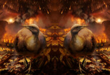 Уникальная находка: реконструирован мозг древней птицы мезозойской эры 8750cf13-cb11-4165-9cf3-c84cb9b9dd83-67887e64