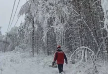 8e357d8a-92f3-4158-9015-94935dd14262-678ba335