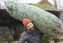 Топ-5 высокооплачиваемых новогодних вакансий 2024 года b15ba23a-7a7c-4247-870e-4d76693f2de0-678a275f