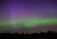 2653135b-b14f-4e34-970c-ea909b04361e-67b4736e