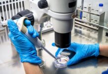 36b0450d-78d5-4317-94c4-beb27f246dd8-67b7a01a