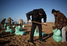 Оперативные меры: в Краснодарском крае усилили контроль за экологической ситуацией 419f5a0c-8eb8-4faf-96be-65a5669ec5ee-67bf2c82