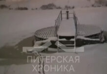 В Петербурге собака спасла мужчину, замерзавшего на льду реки 461753cb-64de-4d91-afe8-8b7700914c73-67b2fe34