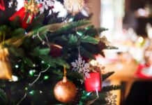 49da904d-6ef0-4f8e-9846-783250a1f55d-67be3965