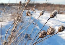 51d5b76c-3b92-4c3c-a60e-dc21fb096965-67a8afd8