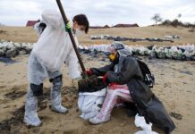 5c5fbc15-c04b-4801-b469-86b3f8b26d25-67bf1bf9