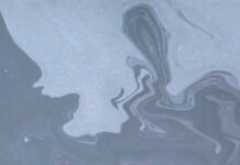 Масштабный экологический инцидент в дельте реки Нигер 67d7598f-912c-4146-a43f-90316e44338f-67b2a859