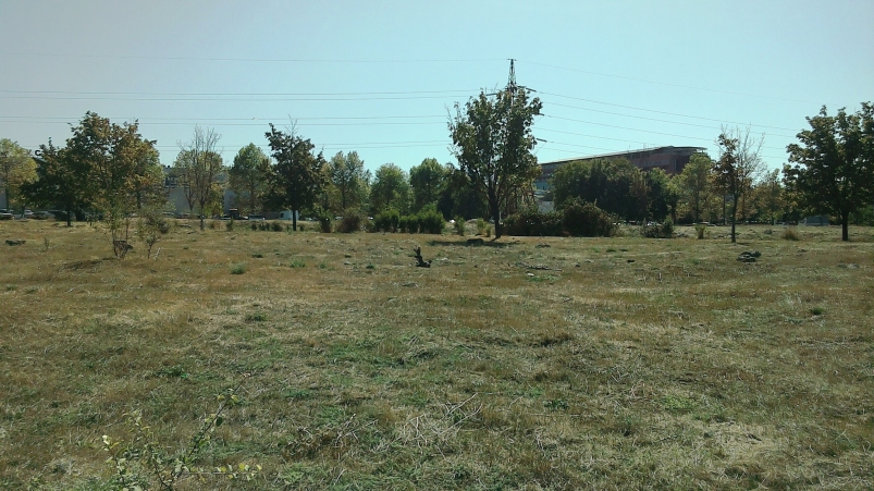 Фото: primamedia.ru