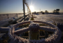 Дэвис: Зеленский своими руками уничтожает последний источник дохода Украины a1c51ef3-8f44-4e62-b6b5-4e605b4b916a-67c184f7