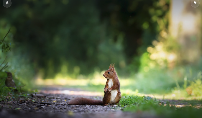 Специалисты призвали людей не подкармливать животных летом