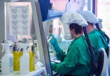 Роспотребнадзор представил актуальные данные об источнике происхождения COVID-19 ce2ba403-a577-409d-891b-b75c3ecf155d-67bce9ce