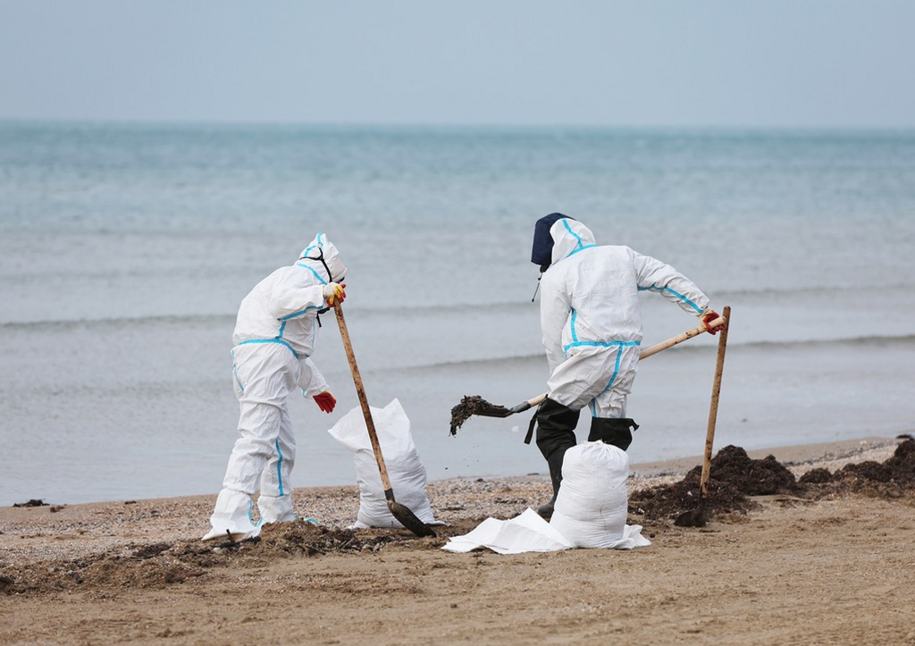 Пляжи Краснодарского края начали защищать от выбросов мазута