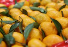 Нутрициолог рассказала об оптимальной норме потребления мандаринов в день f91654d1-9e73-4f04-a39e-11cb8bddabda-67c7021c