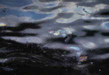 Экологическая ситуация у берегов Крыма вызывает серьезную обеспокоенность fd2ffd97-bdc9-4916-8395-d704a2df907a-67b261a0