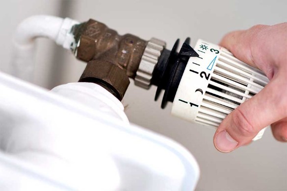 Фото: Hauke-Christian Dittrich / dpa / www.globallookpress.com