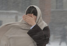 Вашингтон готовится к снежному испытанию: меры предосторожности защитят жителей 002409c3-a43c-453b-a985-904d1c3e82e6-67ce52f3