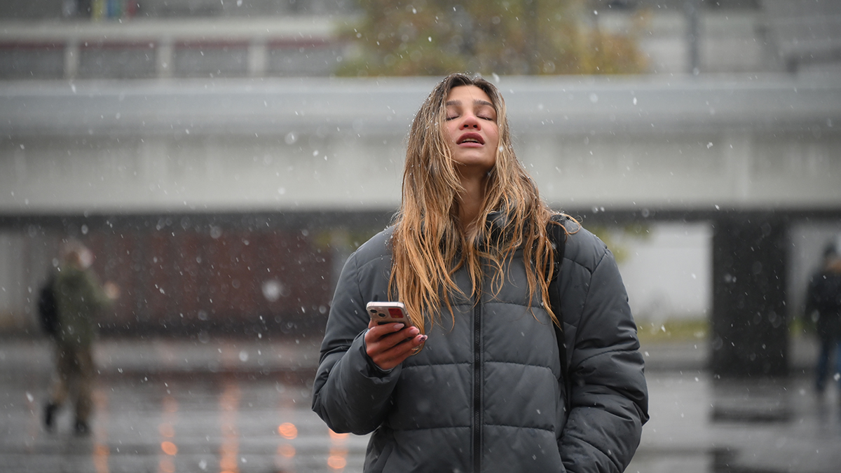 Метеоролог Вильфанд: К концу недели во многих районах столицы снег исчезнет