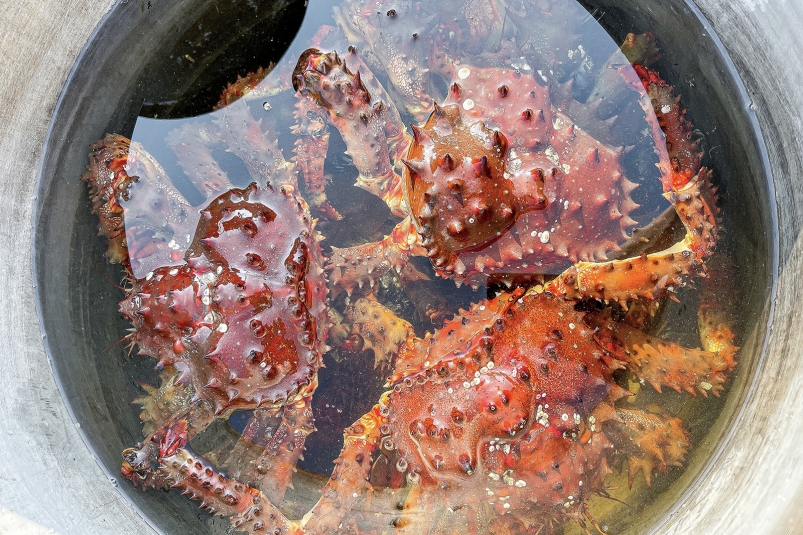 Фото: primamedia.ru