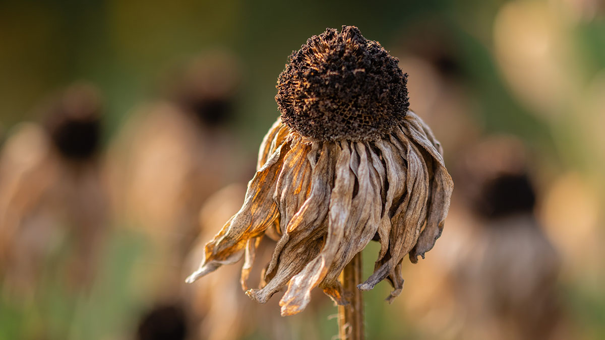 Ученые: Изменения климата затронут 5,6 миллиарда человек через 20 лет