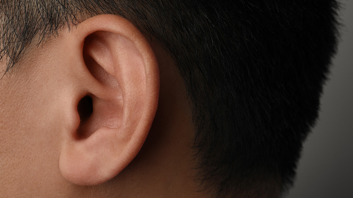 Пара зашла в чужой дом, занялась сексом и откусила ухо сыну хозяйки в Ленобласти