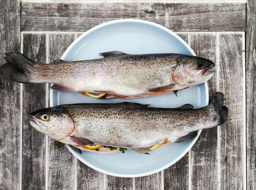 Попова сообщила, что Роспотребнадзор проверил 200 проб морепродуктов и рыбы, выловленной в Черном море