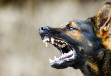 9988122d-af67-4e9b-978c-bd737a526c96-67d88ec6