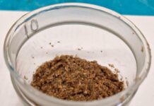 Инновационная разработка пермских ученых открывает новую эру безопасных кормовых добавок для животных 9cd4465c-bedb-44dd-8fb8-4b74badf0c47-67cefc1a