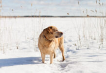 a3f61367-096e-4ec5-886d-fb01ddc9de59-67d5fad0