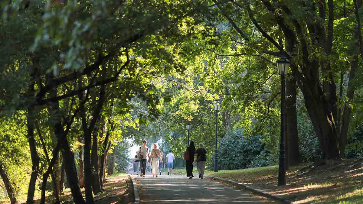 Александр Закондырин отметил важность ужесточения зеленых стандартов в Москве