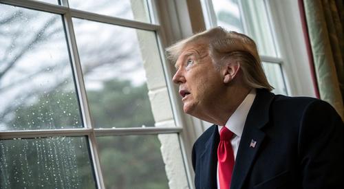 Воздушную катастрофу над Вашингтоном Дональд Трамп видел своими глазами