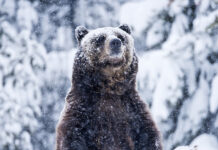 bd3dcad2-ace0-40b7-bdc1-399f559d1f39-67e17479