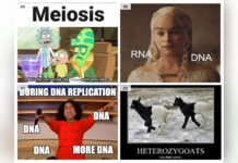 c6dca59a-aceb-4db3-9907-ed9c387d2585-67e246b5