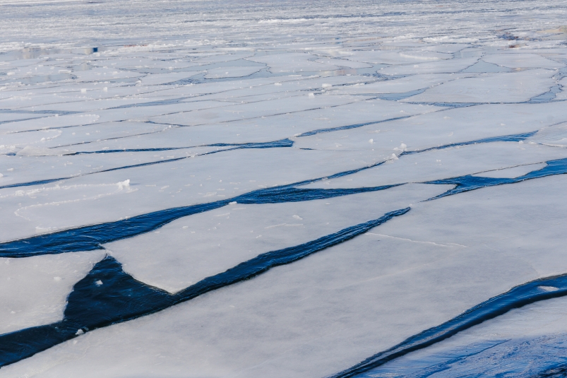 Фото: primamedia.ru