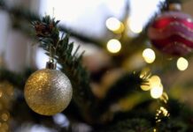 cf501fed-c420-4eeb-b3b0-4896eb55f13a-67e7eb7f