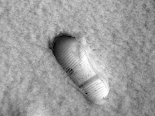 Двух братьев ищут в Петербурге 