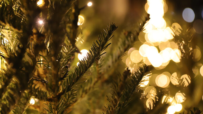 Посёлок ПеределкиноПосёлок ДСК Ми