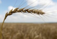 db7102ec-8c1a-4a7b-aba0-9cd08a39b02d-67df94e6